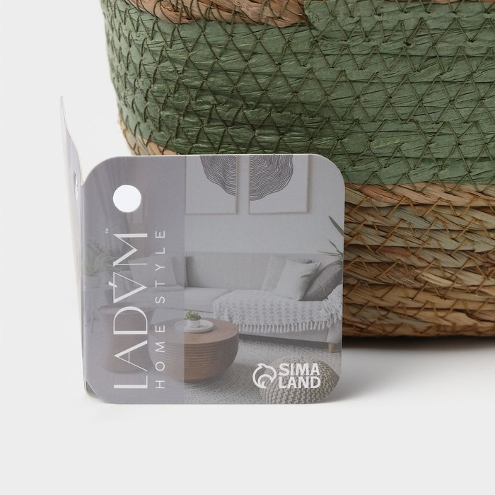 Корзина для хранения плетёная ручной работы LaDо́m &laquo;Лео&raquo;, 25&times;18&times;12 см, цвет зелёный