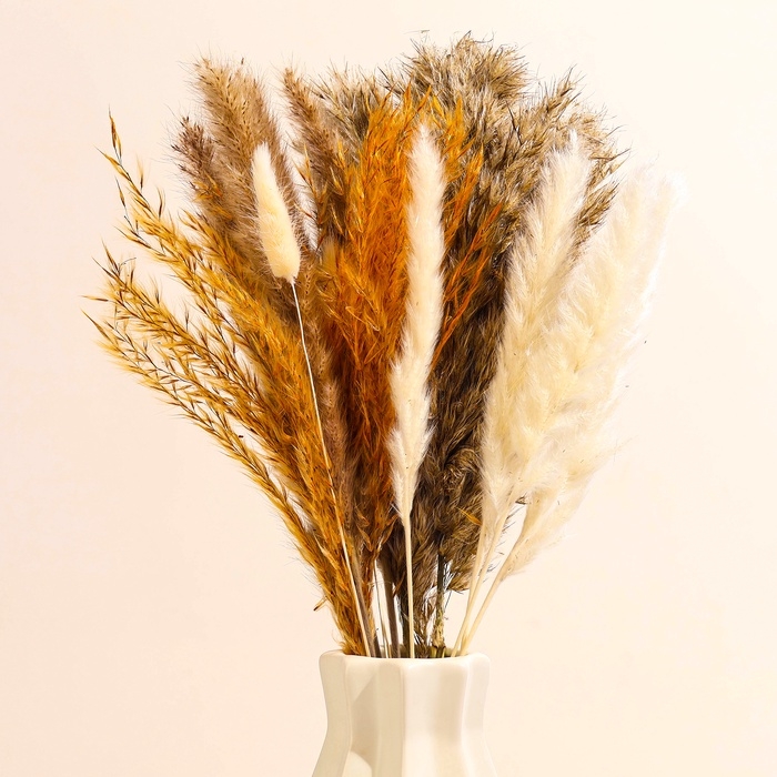 Сухоцветы &laquo;Изящность&raquo;, набор из 5 видов, 48 &times; 16 &times; 6 см