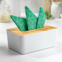 Салфетница Доляна &laquo;Мягкость&raquo;, 19&times;13 см, бамбук