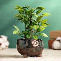 Горшок "Цветочек" на ножках, 6х6х5см Горшок "Цветочек" на ножках, 6х6х5см