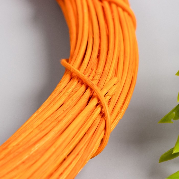 Кольцо ротанг для изготовления ловца снов Кольцо ротанг для изготовления ловца снов "Оранжевый" d=25 см