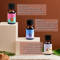 Аромамасло, набор (9 в 1), по 10 мл "Богатство Аромата" №2 Аромамасло, набор (9 в 1), по 10 мл "Богатство Аромата" №2