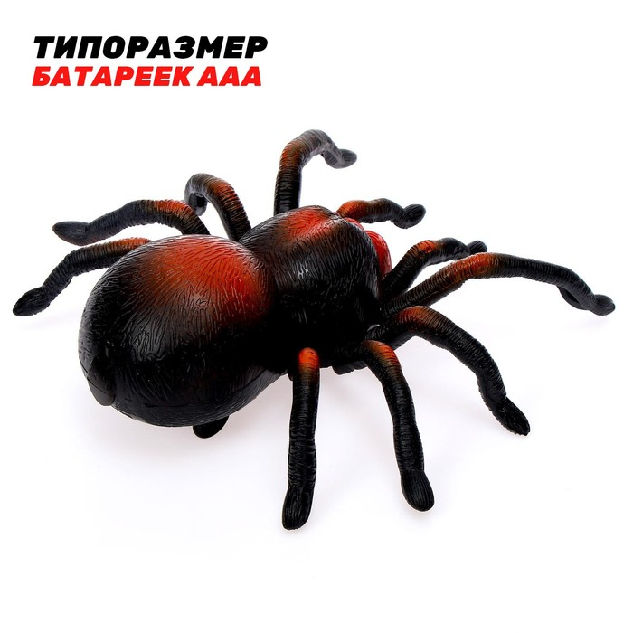 Паук радиоуправляемый «Тарантул», работает от батареек Паук радиоуправляемый «Тарантул», работает от батареек