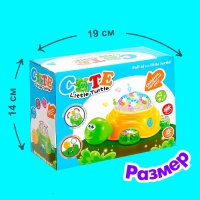 Каталка музыкальная &laquo;Черепашка&raquo;, световые, звуковые эффекты, работает от батареек