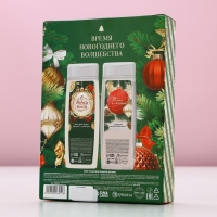 Подарочный набор косметики &laquo;С Новым Годом!&raquo;, гель для душа и шампунь для волос, 2 х 250 мл, ЧИСТОЕ СЧАСТЬЕ