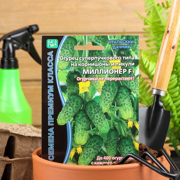Семена Огурец Семена Огурец "Миллионер" F1 раннеспелый, урожайный, партенокарпический, 7 шт