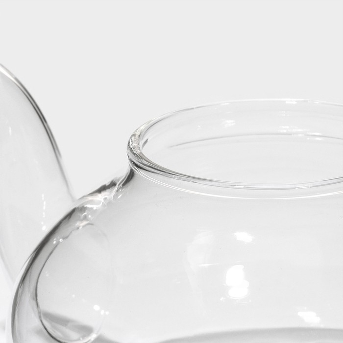 Чайник стеклянный заварочный с металлическим ситом Доляна &laquo;Элегия&raquo;, 600 мл, 19&times;13&times;12,5 см