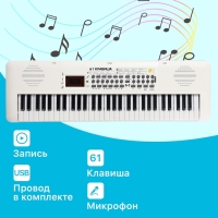 Синтезатор детский «Клавишник», звуковые эффекты, 61 клавиша Синтезатор детский «Клавишник», звуковые эффекты, 61 клавиша