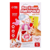 Игра на липучках &laquo;Моё тело&raquo;, анатомия