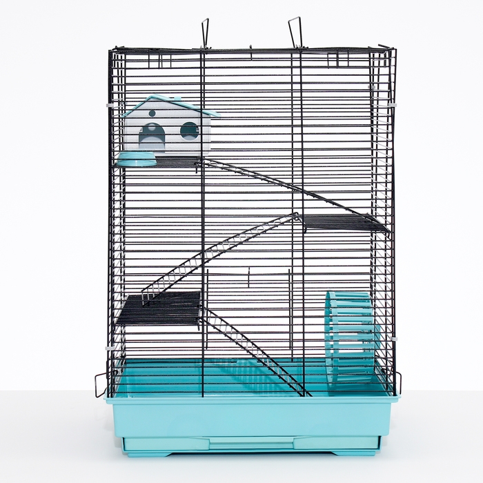 Клетка для грызунов Клетка для грызунов "Пижон" №5, с 3 этажами, укомплектованная, 41 х 30 х 58 см, бирюзовая