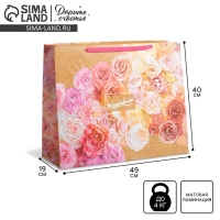 Пакет подарочный ламинированный горизонтальный, упаковка, «Прекрасный праздник», XL 49 х 40 х 19 см Пакет подарочный ламинированный горизонтальный, упаковка, «Прекрасный праздник», XL 49 х 40 х 19 см