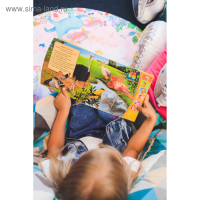 Музыкальная книга «Экзотические птицы», 12 стр. Музыкальная книга «Экзотические птицы», 12 стр.