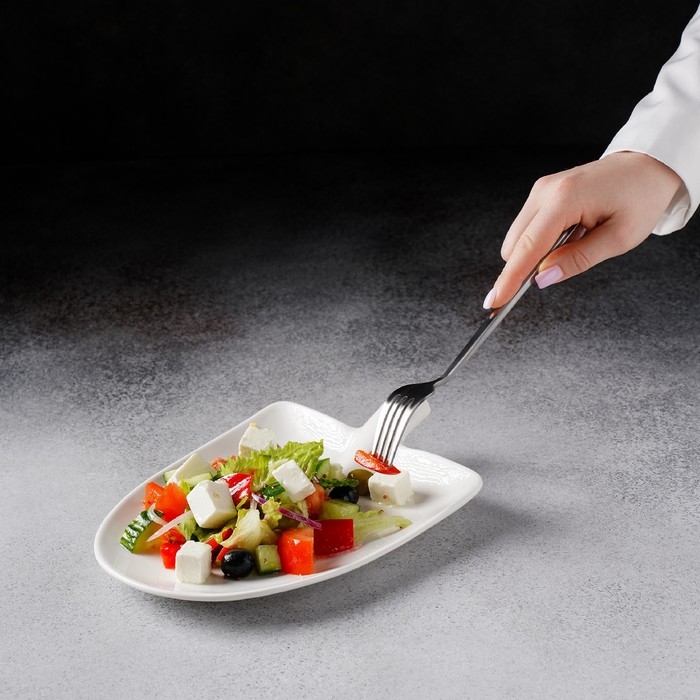 Блюдо фарфоровое Magistro &laquo;Бланш&raquo;, 24&times;18&times;4,5 см, цвет белый