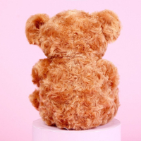 Мягкая игрушка &laquo;Ты лучше всех&raquo;, медведь, цвета МИКС