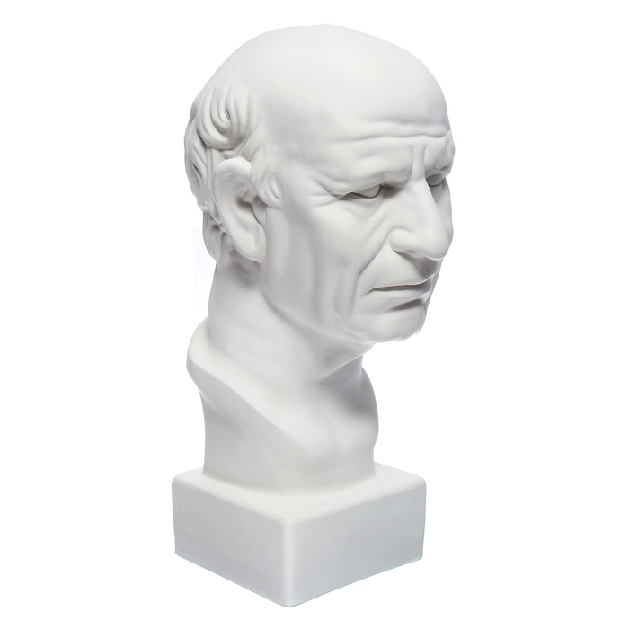 Гипсовая фигура Голова римлянина, 25 х 25 х 60 см Гипсовая фигура Голова римлянина, 25 х 25 х 60 см