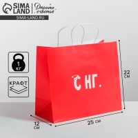 Пакет подарочный новогодний крафт &laquo;С НГ&raquo;, 25 х 22 х 12 см, Новый год
