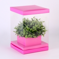 Коробка для цветов с вазой и PVC окнами складная, 16 х 23 х 16 см, однотонный, розовый Коробка для цветов с вазой и PVC окнами складная, 16 х 23 х 16 см, однотонный, розовый