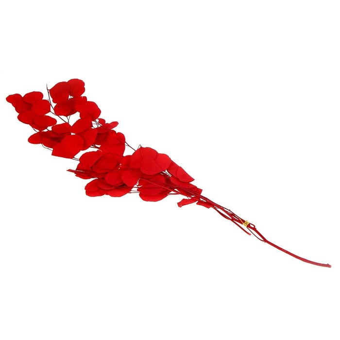 Сухоцвет персикого дерева, 50 г, длина &mdash; 70 см, цвет красный