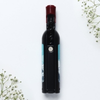 Магнит-открывашка «Владивосток», 2,5 х 11,8 х 2,5 см Магнит-открывашка «Владивосток», 2,5 х 11,8 х 2,5 см