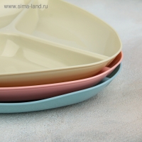 Менажница «Стайл», 24×24×2,5 см, цвет МИКС Менажница «Стайл», 24×24×2,5 см, цвет МИКС