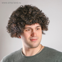 Карнавальный парик &laquo;Кудрявый&raquo;, 90 г