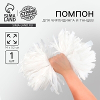 Помпон 1шт, цвет белый Помпон 1шт, цвет белый