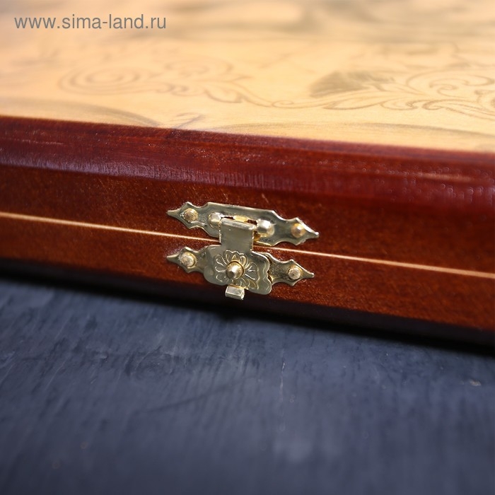 Нарды средние &laquo;Медведь&raquo; 50 &times; 50 см