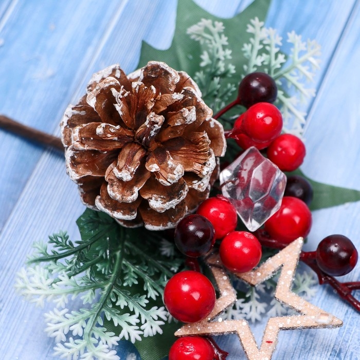 Декор Декор "Зимние грезы" яркая звезда шишка ягоды, 18 см