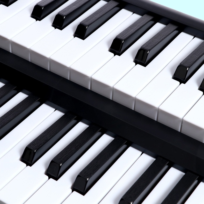 Синтезатор детский «Профи музыкант», звуковые эффекты, микрофон в комплекте, 61 клавиша Синтезатор детский «Профи музыкант», звуковые эффекты, микрофон в комплекте, 61 клавиша