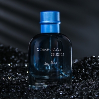 Туалетная вода мужская Domenico&Gusto Deep Blue, 100 мл Туалетная вода мужская Domenico&Gusto Deep Blue, 100 мл