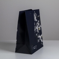 Пакет подарочный ламинированный вертикальный, упаковка, &laquo;Сильному духом&raquo;, ML 23 х 27 х 11,5 см