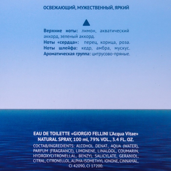 Туалетная вода мужская Туалетная вода мужская "Christine Lavoisier Parfums", "Giorgio Fellini L'Acqua Vitae", 100 мл