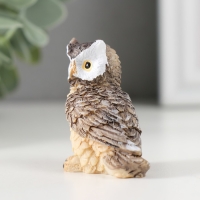 Сувенир полистоун "Серая сова" МИКС 2,3х4,3х4,5 см Сувенир полистоун "Серая сова" МИКС 2,3х4,3х4,5 см