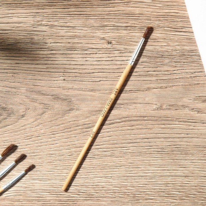 Кисть для рисования набор 4 шт. белка &laquo;TRUE ART&raquo; № 1, 2, 3, 4