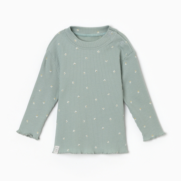 Футболка с дл. рукавом Крошка Я Olives, р. 68-74, оливковый Футболка с дл. рукавом Крошка Я Olives, р. 68-74, оливковый