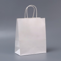 Пакет белый без печати, круглая ручка, 27 х 21 х 11 см, 120 г Пакет белый без печати, круглая ручка, 27 х 21 х 11 см, 120 г