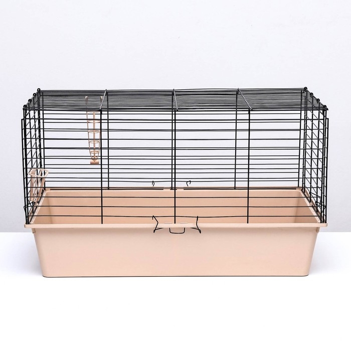 Клетка для кроликов, морских свинок "Пижон" №4 складная, 80 х 50 х 47 см, бежевая