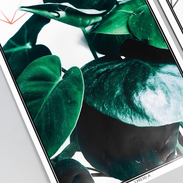 Наклейка пластик интерьерная триптих "Растения и геометрия" набор 3 листа 29,5х61 см