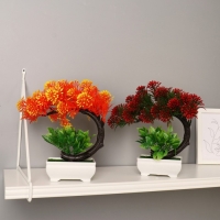 Бонсай в горшке "Селагинелла африканская" 10х20 см, микс Бонсай в горшке "Селагинелла африканская" 10х20 см, микс