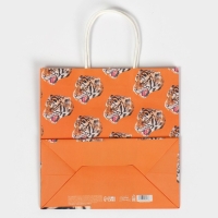 Пакет подарочный, упаковка, &laquo;Самец&raquo;, 22 х 22 х 11 см