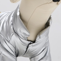 Куртка для собак "Космонавт", размер 16, чёрно-серебряная (ДС 40, ОШ 34, ОГ 48 см) Куртка для собак "Космонавт", размер 16, чёрно-серебряная (ДС 40, ОШ 34, ОГ 48 см)