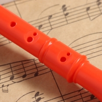 Блокфлейта Music Life, 8 отверстий, немецкая система, сопрано, красная Блокфлейта Music Life, 8 отверстий, немецкая система, сопрано, красная