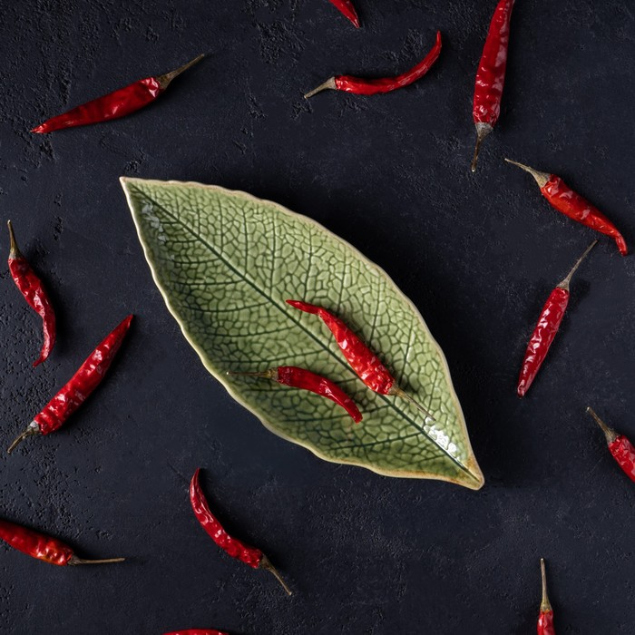 Блюдо керамическое сервировочное &laquo;Дендрарий&raquo;, 20,5&times;8,5&times;1,5 см, цвет зелёный