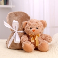 Мягкая игрушка с пледом &laquo;Мишутка&raquo;