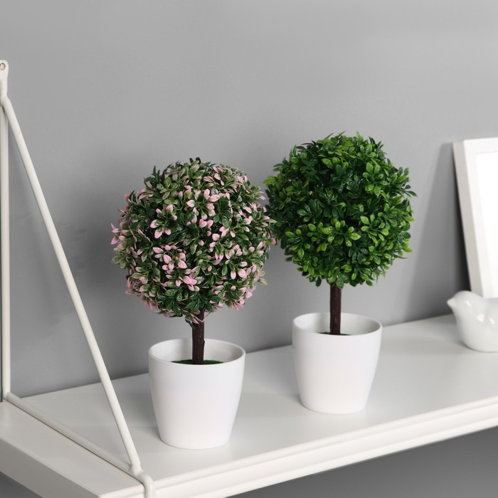 Бонсай в горшке "Цветные листочки" 10х19 см, микс