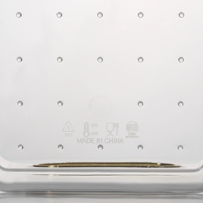 Контейнер для хранения &laquo;Нежность&raquo;, 29&times;20&times;10 см, цвет прозрачный