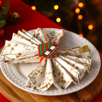 Кольцо для салфеток Доляна &laquo;Зимний домик&raquo;, 6&times;6 см