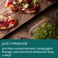 Коврик джутовый для выращивания микрозелени, 10 &times; 15 см, толщина 1 см, набор 5 шт.