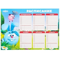 Подарочный набор, 9 предметов, Смешарики Подарочный набор, 9 предметов, Смешарики