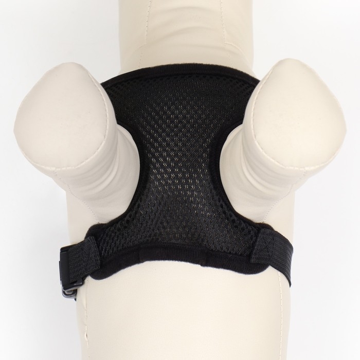 Шлейка мягкая из неопрена, размер M, ОШ 34 см, ОГ 32-42 см, чёрная Шлейка мягкая из неопрена, размер M, ОШ 34 см, ОГ 32-42 см, чёрная